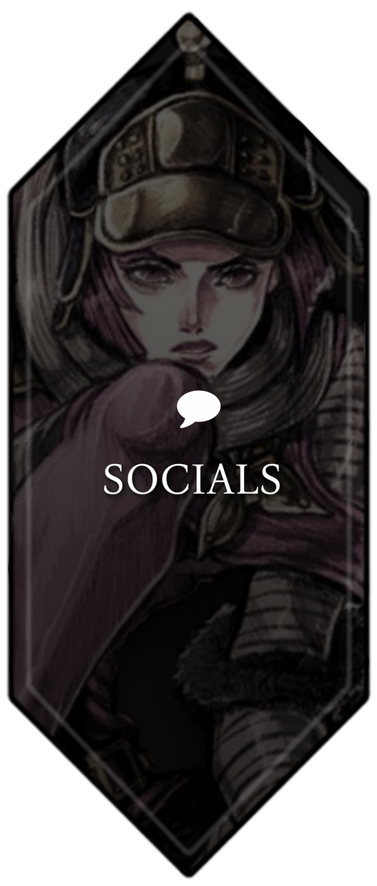 SOCIAL MEDIAS