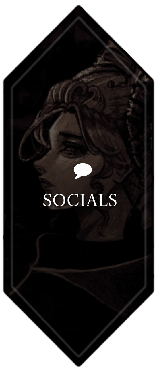 SOCIAL MEDIAS
