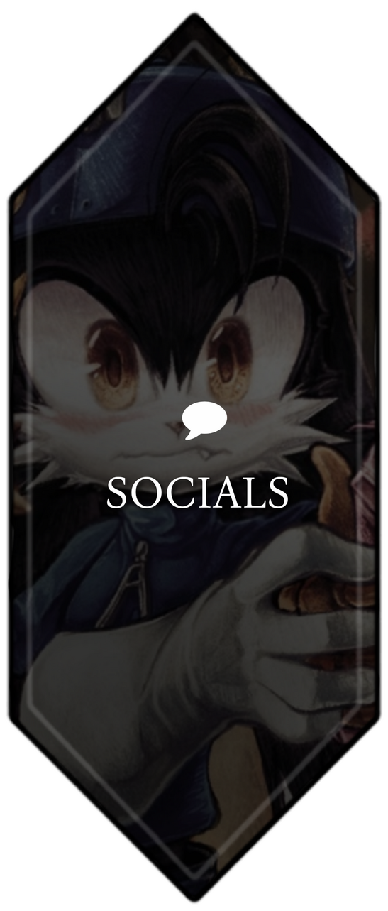 SOCIAL MEDIAS