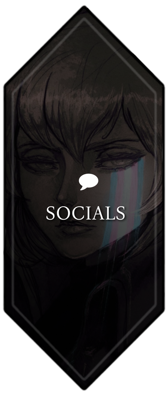 SOCIAL MEDIAS