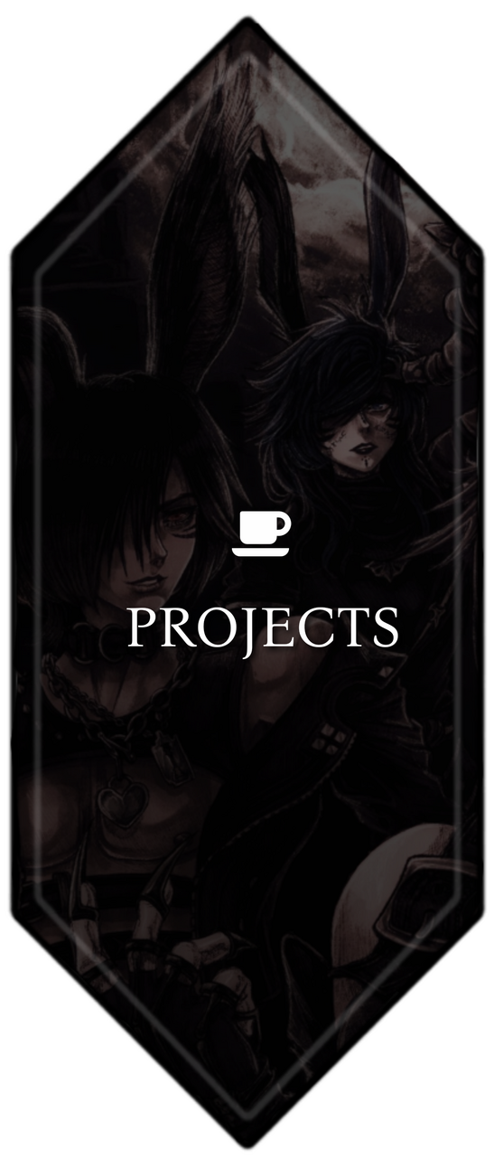 PROJECTS