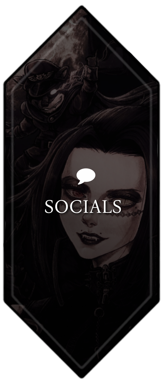 SOCIAL MEDIAS