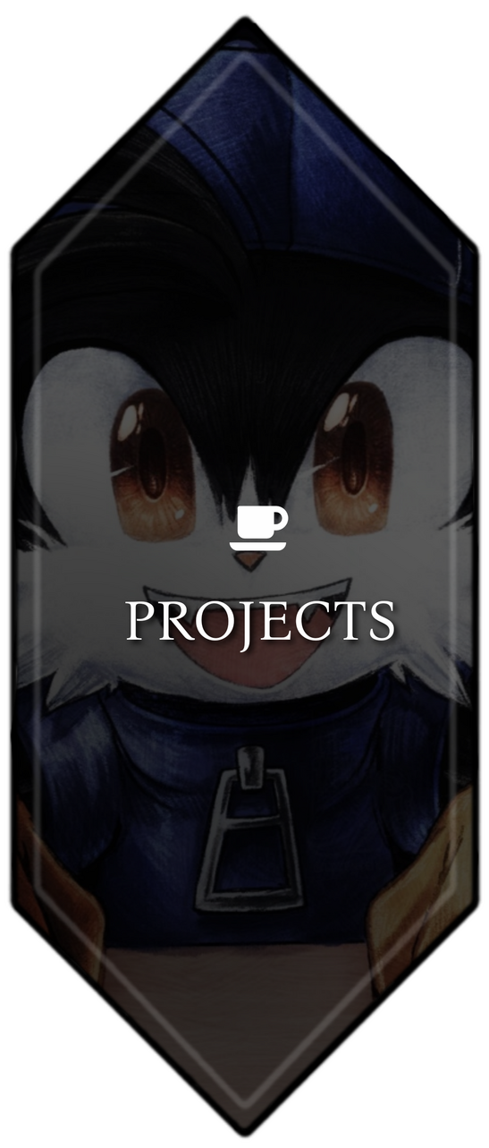 PROJECTS